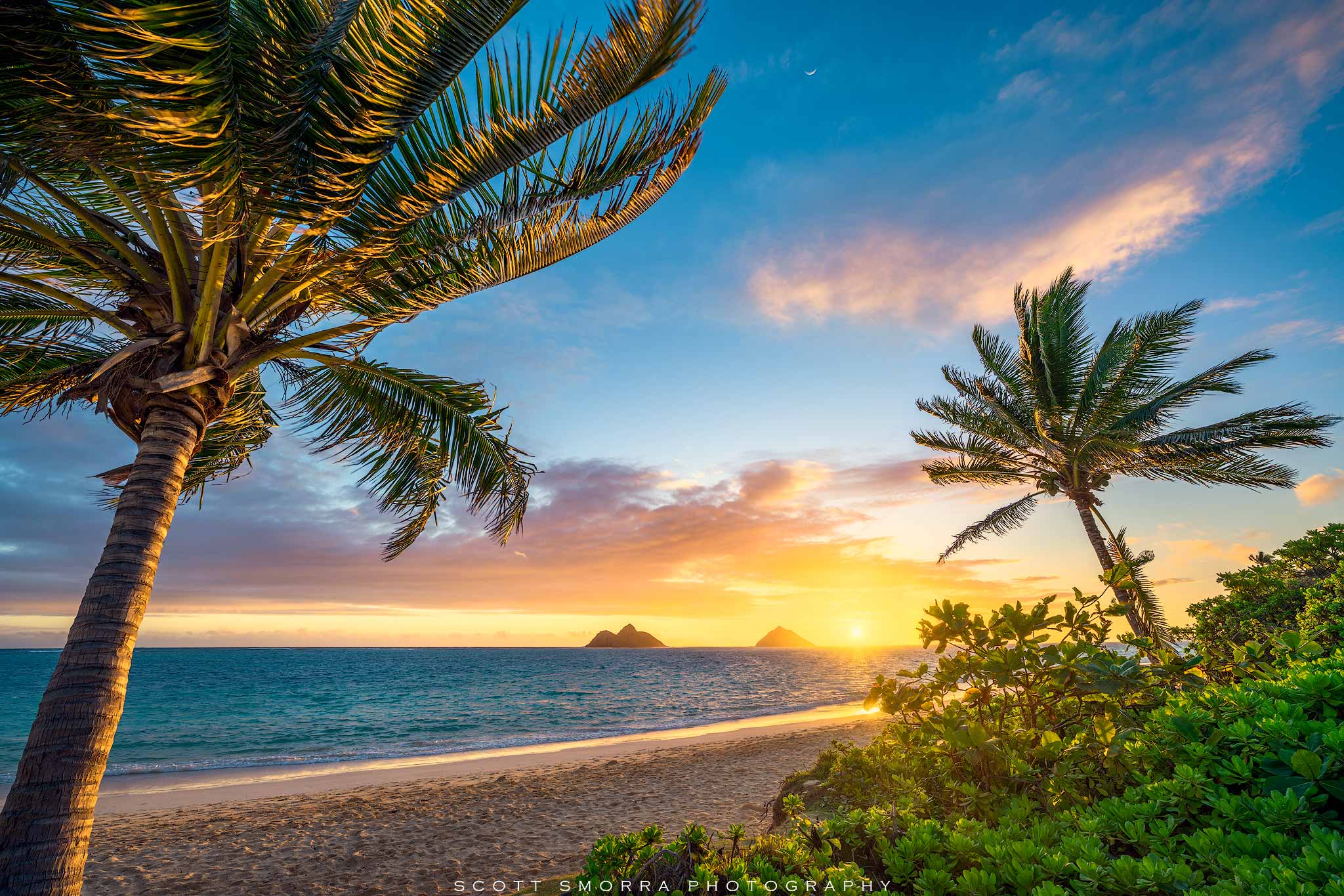 Hawaii Nature